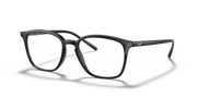 Clear Lenses, Polished Black Frame