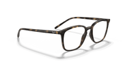 Clear Lenses, Polished Havana Frame