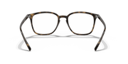 Clear Lenses, Polished Havana Frame