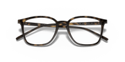 Clear Lenses, Polished Havana Frame