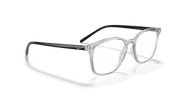 Clear Lenses, Polished Transparent Frame