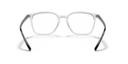 Clear Lenses, Polished Transparent Frame