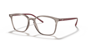 Clear Lenses, Polished Transparent Grey Frame