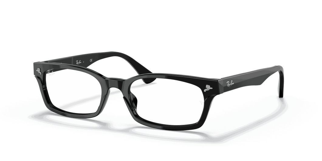 [Clear Lenses, Polished Black Frame]