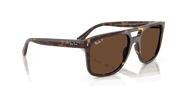 Polar Brown Lenses, Polished Havana Frame