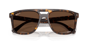 Polar Brown Lenses, Polished Havana Frame