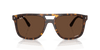 [Polar Brown Lenses, Polished Havana Frame]