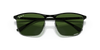 [Dark Green Lenses, Polished Black On Silver Frame]