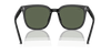 [Dark Green Lenses, Polished Black Frame]