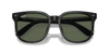 [Dark Green Lenses, Polished Black Frame]