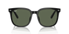 [Dark Green Lenses, Polished Black Frame]