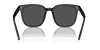 [Dark Grey Lenses, Polished Black Frame]