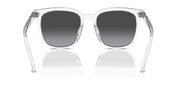 Grey Lenses, Polished Transparent Frame