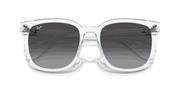 Grey Lenses, Polished Transparent Frame