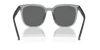 [Dark Grey Lenses, Polished Transparent Grey Frame]