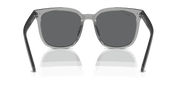 Dark Grey Lenses, Polished Transparent Grey Frame