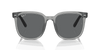 [Dark Grey Lenses, Polished Transparent Grey Frame]