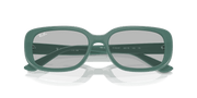 Light Grey Lenses, Polished Algae Green Frame