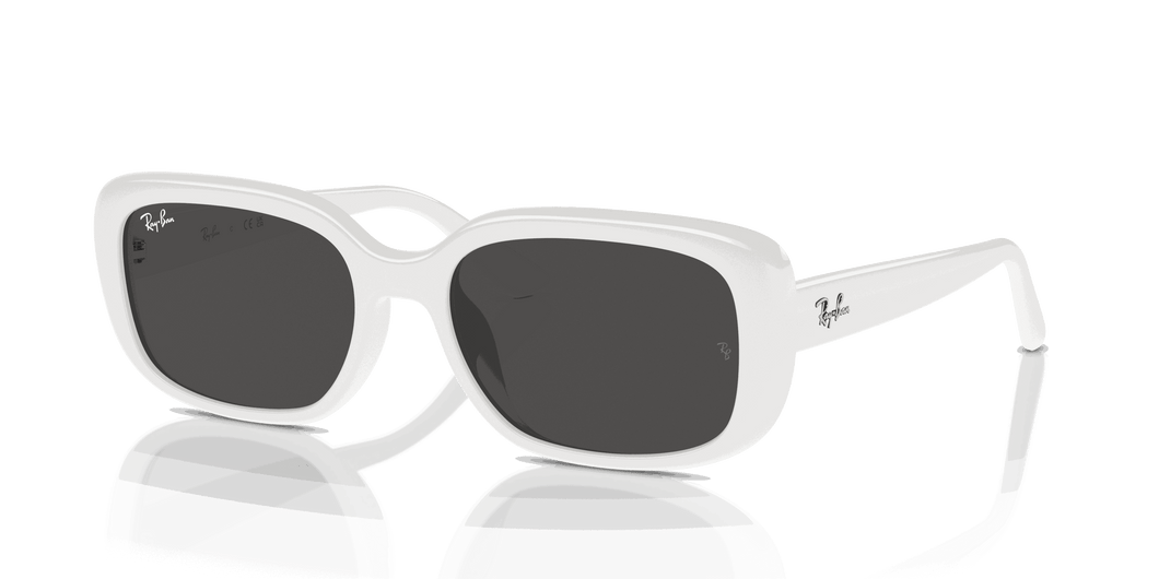 [Dark Grey Lenses, Polished White Frame]