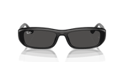 Dark Grey Lenses, Polished Black Frame