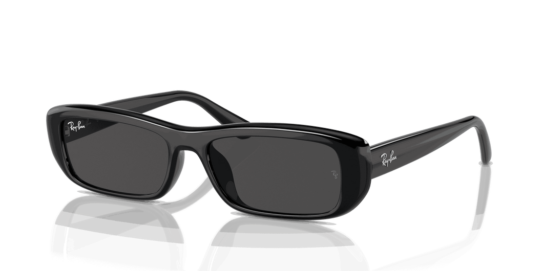 [Dark Grey Lenses, Polished Black Frame]