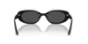 [Dark Grey Lenses, Polished Black Frame]