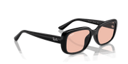 Dark Pink Lenses, Polished Black Frame