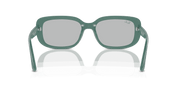 Light Grey Lenses, Polished Algae Green Frame