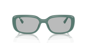 Light Grey Lenses, Polished Algae Green Frame