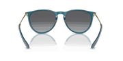 Grey Lenses, Polished Transparent Teal Frame