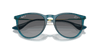 [Grey Lenses, Polished Transparent Teal Frame]