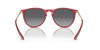 [Grey Lenses, Polished Transparent Red Frame]