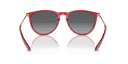 Grey Lenses, Polished Transparent Red Frame