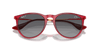 [Grey Lenses, Polished Transparent Red Frame]