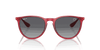 [Grey Lenses, Polished Transparent Red Frame]