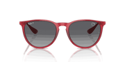 Grey Lenses, Polished Transparent Red Frame