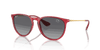 [Grey Lenses, Polished Transparent Red Frame]