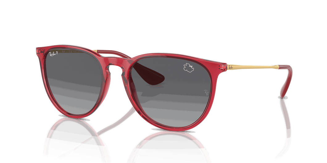 [Grey Lenses, Polished Transparent Red Frame]