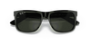 [Polarized Dark Green Lenses, Polished Black Frame]