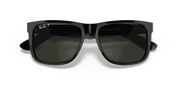 Polarized Dark Green Lenses, Polished Black Frame