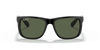 [Polarized Dark Green Lenses, Polished Black Frame]