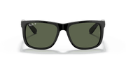 Polarized Dark Green Lenses, Polished Black Frame