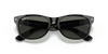 [G-15 Green Lenses, Polished Black Frame]