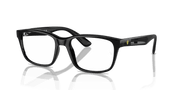 Clear Lenses, Polished Black Frame