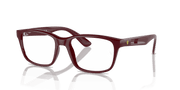 Clear Lenses, Polished Dark Red Frame