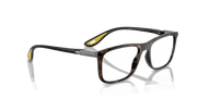 Clear Lenses, Polished Havana Frame