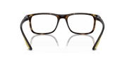 Clear Lenses, Polished Havana Frame