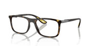 Clear Lenses, Polished Havana Frame