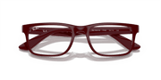 Demo Lens Lenses, Polished Dark Red Frame