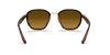 [Brown Lenses, Polished Arista Gold Frame]